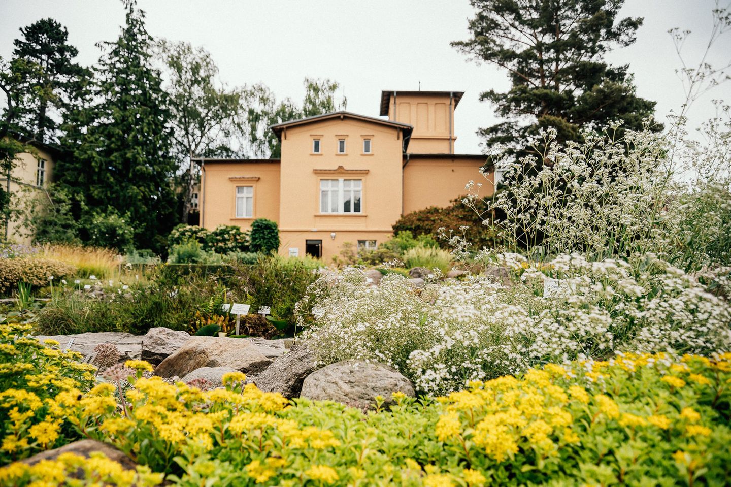 Botanischer Garten Greifswald [GEO]