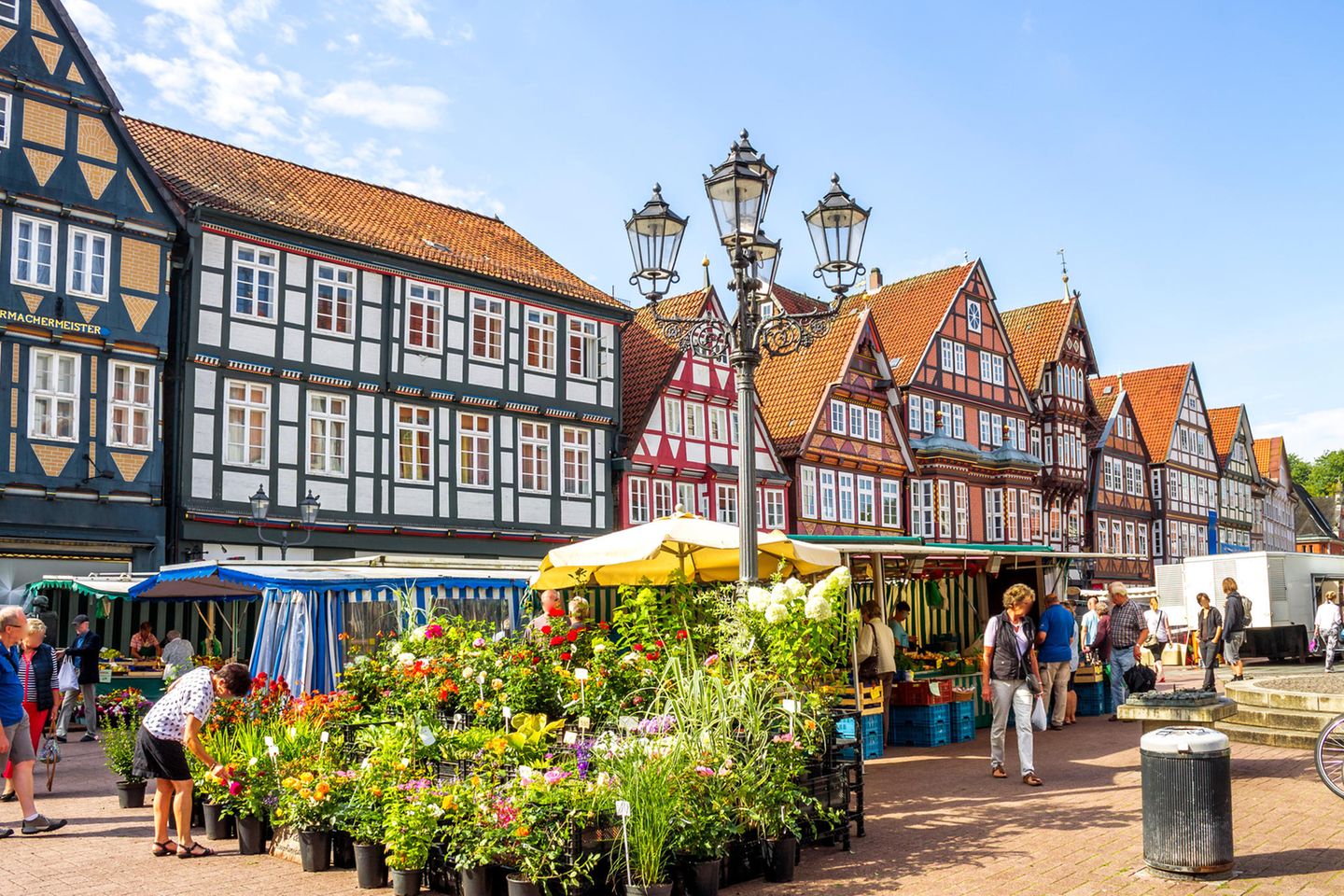 Celle: Kunterbuntes Fachwerk Markt in Celle