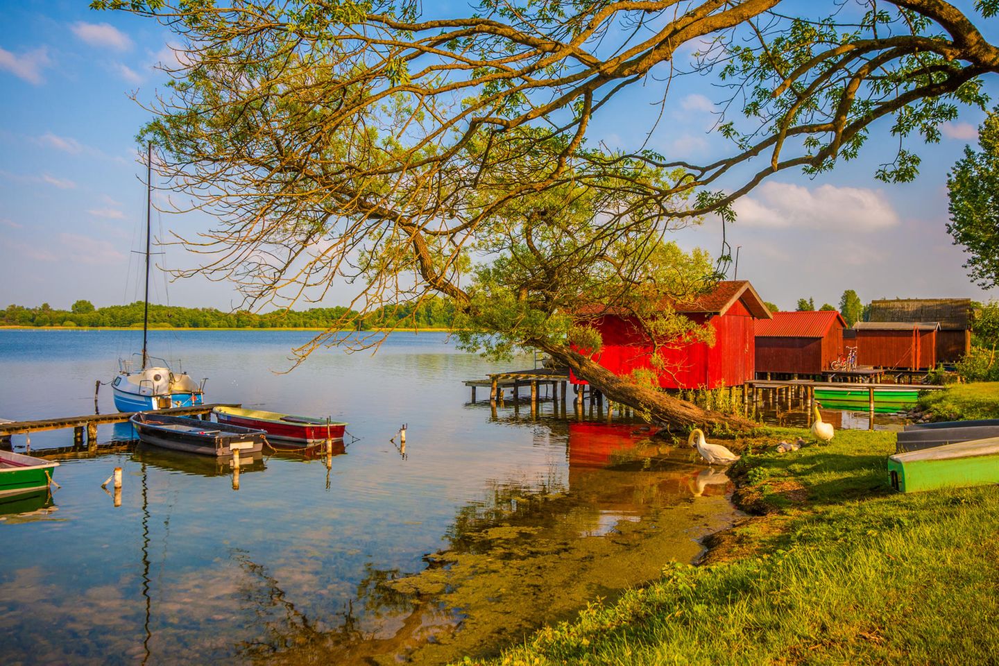 Boote in Zarrentin am Schaalsee