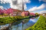 Jork im Alten Land zur Blütezeit