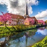 Jork im Alten Land zur Blütezeit