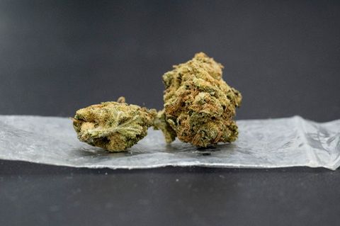 getrocknetes Cannabis