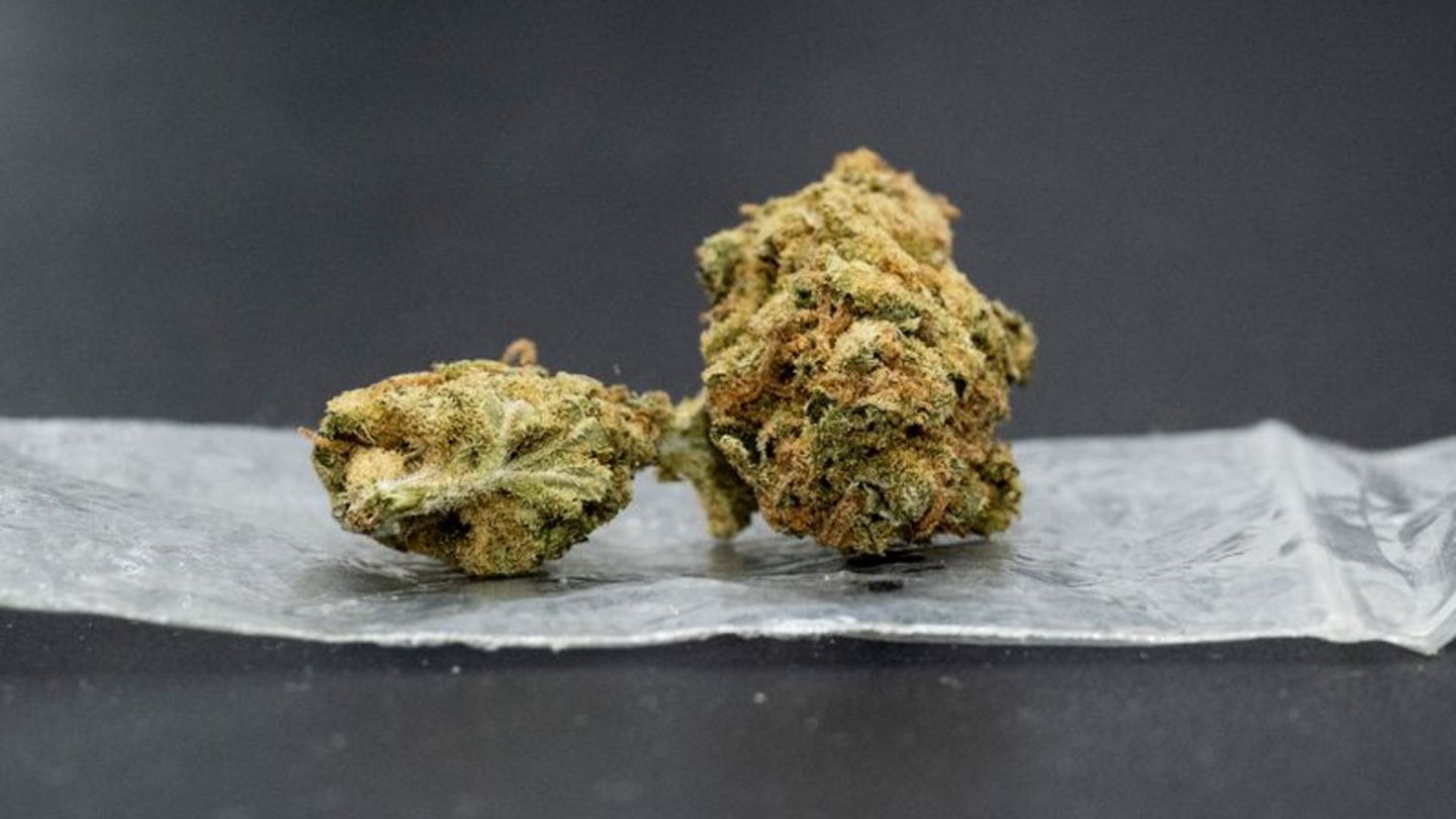 getrocknetes Cannabis