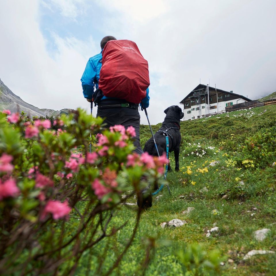 Für die Nacht auf der Pfeishütte ist der Hund angemeldet, nicht auf allen Hütten ist Platz für Tiere