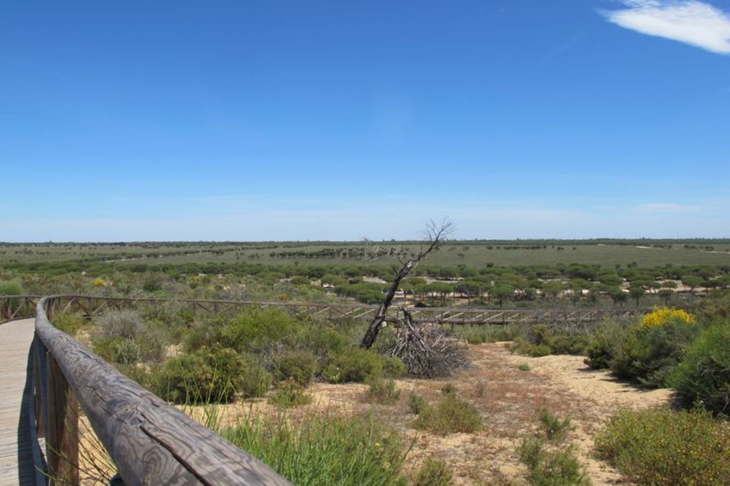 Der Nationalpark Doñana ist ein flaches, früher periodisch überschwemmtes Feuchtgebiet, das zum Meer hin von hohen Wanderdünen w