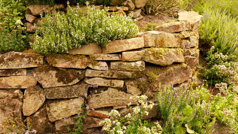 Bepflanzte Trockenmauer im Naturgarten