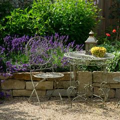 Trockenmauer mit Lavendel