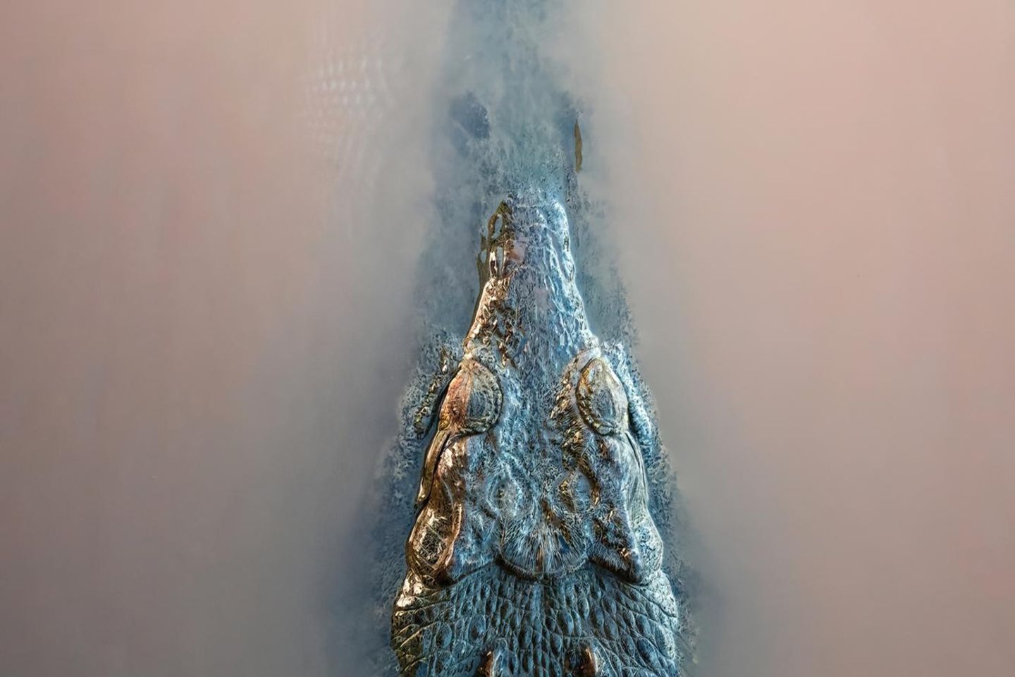 Lovre Culina - "Murky Waters"