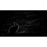 3. Platz: Stefan Gerrits - "Goose Bumps"