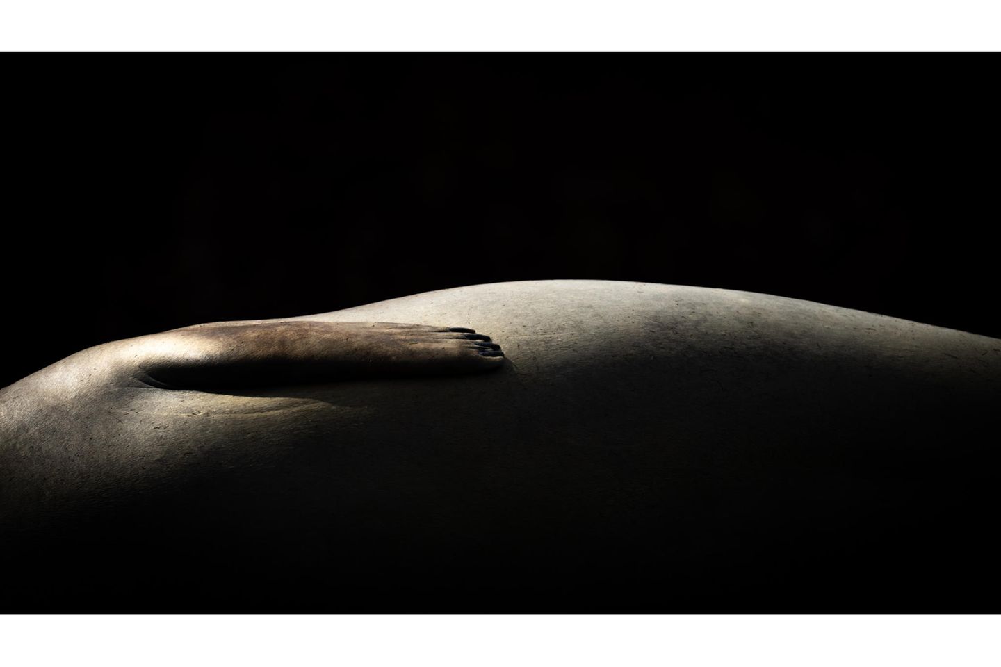 Alex Pansier - "Outer Space"