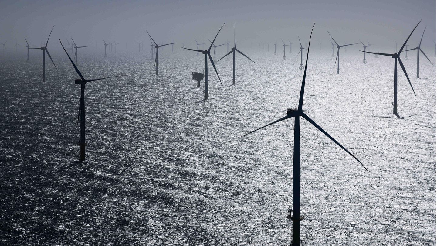Première: Nederland zet windturbines stil om trekvogels te beschermen