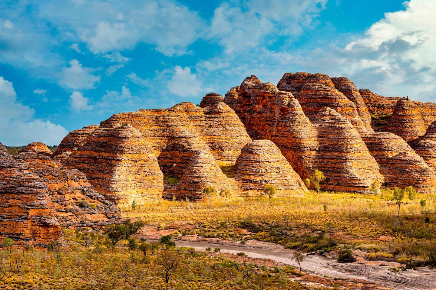 Bungle Bungle Range im Purnululu Nationalpark Bungle Bungle im Purnululu Nationalpark