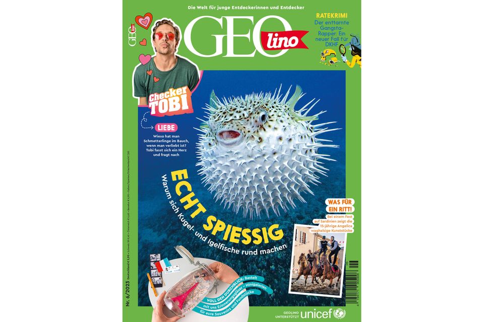 GEOlino Magazin: Kugel- und Igelfische