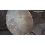 700.000 Bilder: Auf den 3D-Aufnahmen ist das Schiff deutlich zu erkennen: Es ist in zwei große Teile gespalten, Heck und der unverkennbare Bug liegen rund 800 Meter voneinander entfernt. Ein gewaltiges Trümmerfeld umgibt den Dampfer, der als "unsinkbar" galt. Der Scan des Tiefseekartierungsunternehmens Magellan besteht aus 700.000 Bildern, die von Tauchbooten aufgenommen wurden. Zu sehen sind auch winzige Details wie die Seriennummer eines Propellers