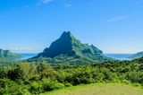 Überblick über den grünen Dschungel am Berg Rotui auf der tropischen Pazifikinsel Moorea