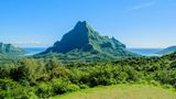 Überblick über den grünen Dschungel am Berg Rotui auf der tropischen Pazifikinsel Moorea