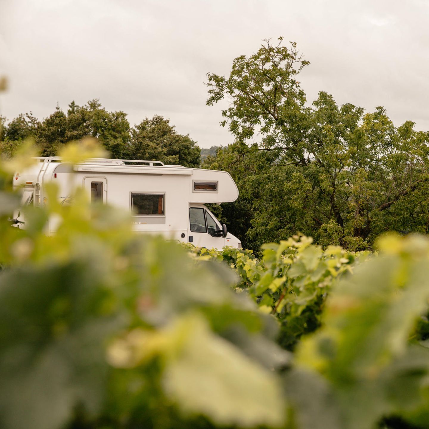 Saisonstart: Camping am Weingut und Bauernhof gefragt - [GEO]