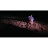 Pazifik: Die Mineralien dürfen zwar nicht außerhalb nationaler Hoheitsgebiete abgebaut werden. Unternehmen ist es aber erlaubt, solche Gebiete auf Bodenschätze zu erkunden. Für ein Sechstel des Meeresbodens der Clarion-Clipperton-Zone hat die Internationale Meeresbodenbehörde (ISA) sogenannte Erkundungslizenzen erteilt. Anträge auf kommerziellen Tiefseebergbau prüft die ISA in diesem Jahr.