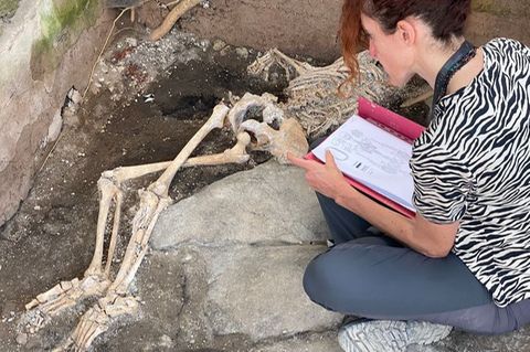 Eine Frau sitzt vor einem Skelett im Archäologiepark Pompeji