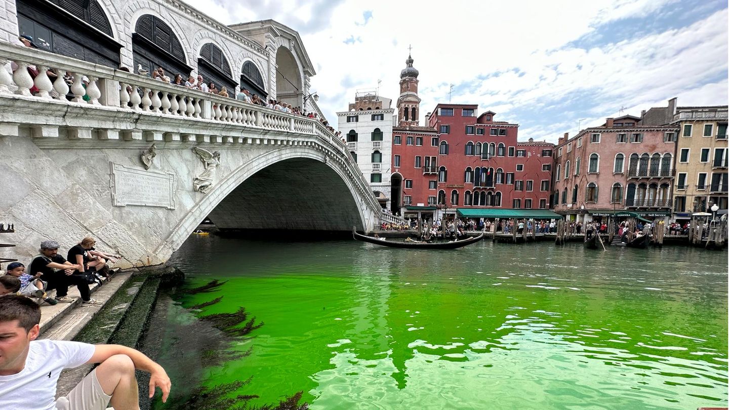 Canal Grande leuchtet grün
