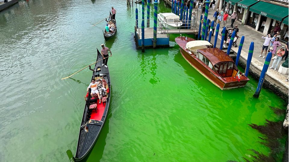 Grüner Canal Grande in Venedig