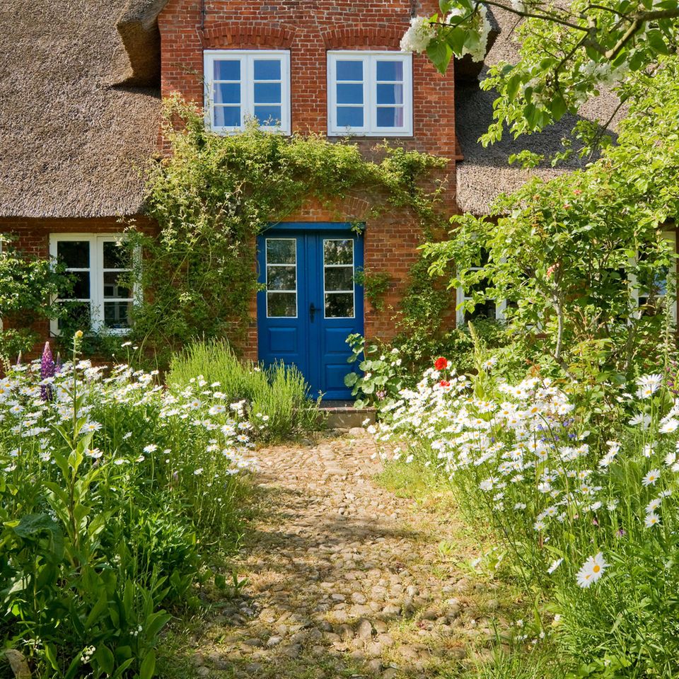 Vorgarten eines Hauses naturnah gestaltet