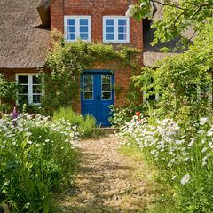Vorgarten eines Hauses naturnah gestaltet