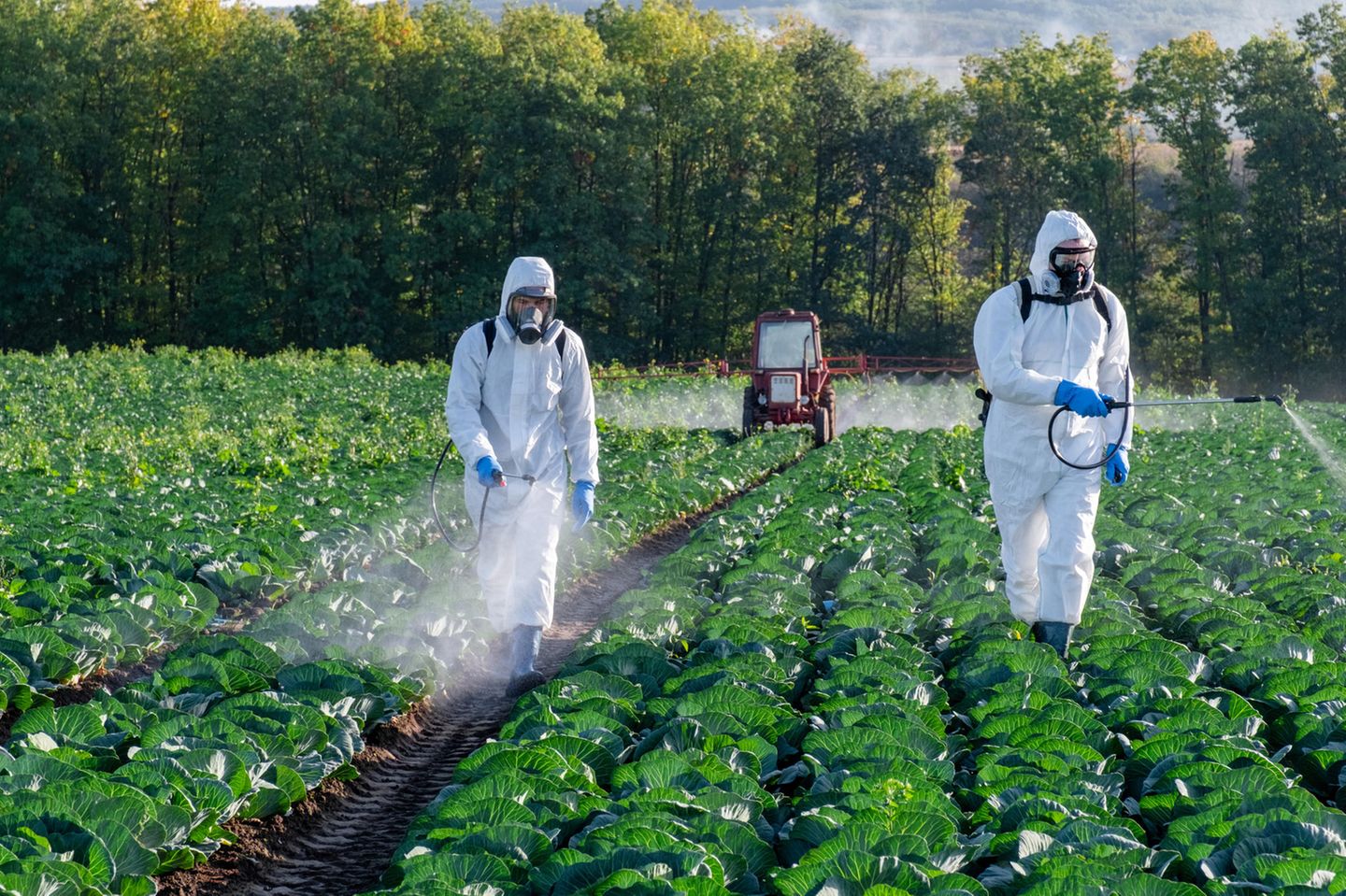 Landwirt sprüht Pestizide auf sein Feld