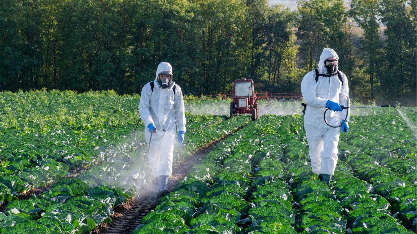 Landwirt sprüht Pestizide auf sein Feld