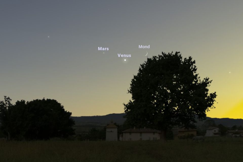 Abendhimmel mit Mars, Venus und Mond. Im Vordergrund steht ein Baum