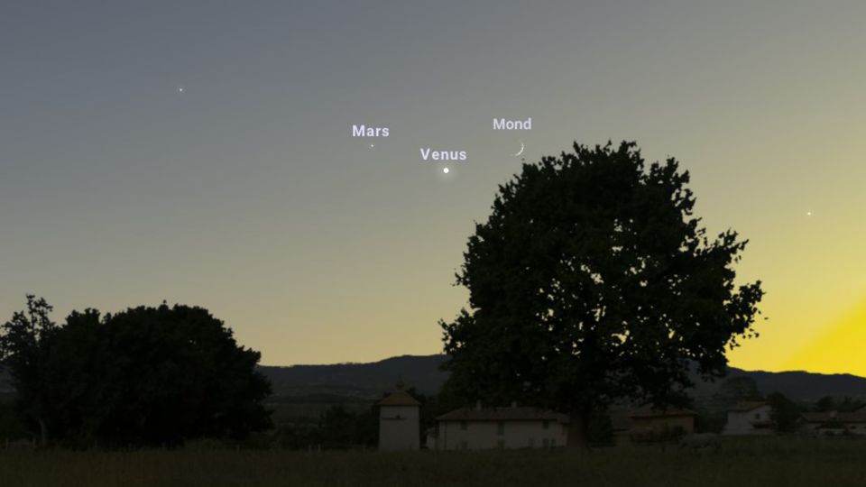Abendhimmel mit Mars, Venus und Mond. Im Vordergrund steht ein Baum