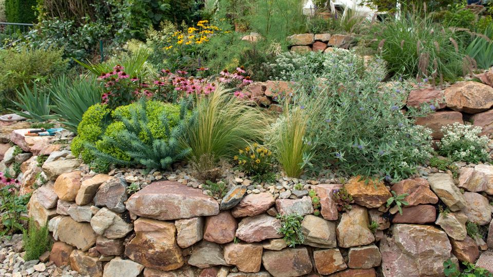 Trockenmauer im Vorgarten Trockenmauer im Vorgarten