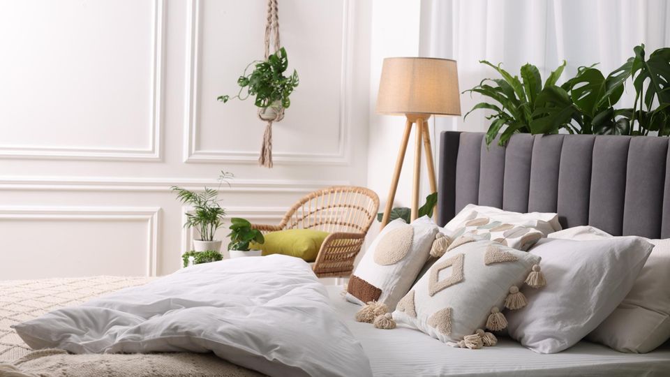 Pflanzen und Bett im Schlafzimmer Pflanzen und Bett im Schlafzimmer
