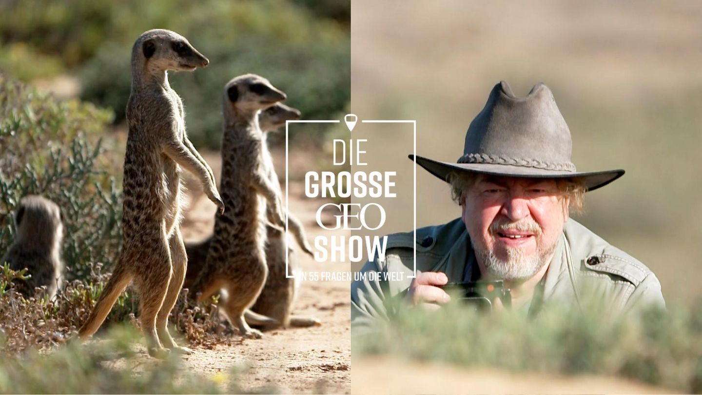 Die Highlights der großen GEO-Show im Video