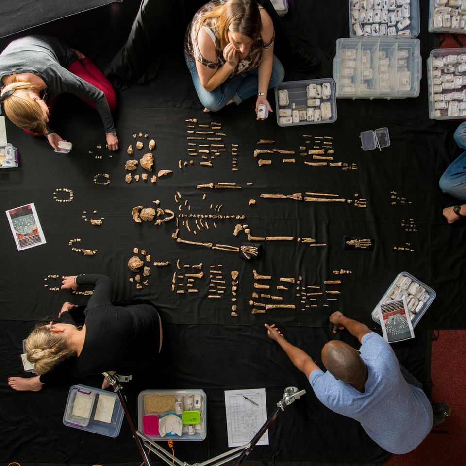 2013 wurden die Fossilien von Homo naledi in einer südafrikanischen Höhle entdeckt. Wissenschaftler*innen untersuchten die Überreste daraufhin an der Universität Johannesburg. Nach neuesten Erkenntnissen könnte der Fundort ein uralter Friedhof sein