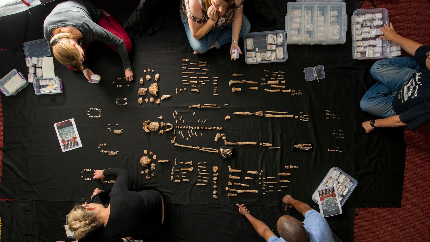 2013 wurden die Fossilien von Homo naledi in einer südafrikanischen Höhle entdeckt. Wissenschaftler*innen untersuchten die Überreste daraufhin an der Universität Johannesburg. Nach neuesten Erkenntnissen könnte der Fundort ein uralter Friedhof sein