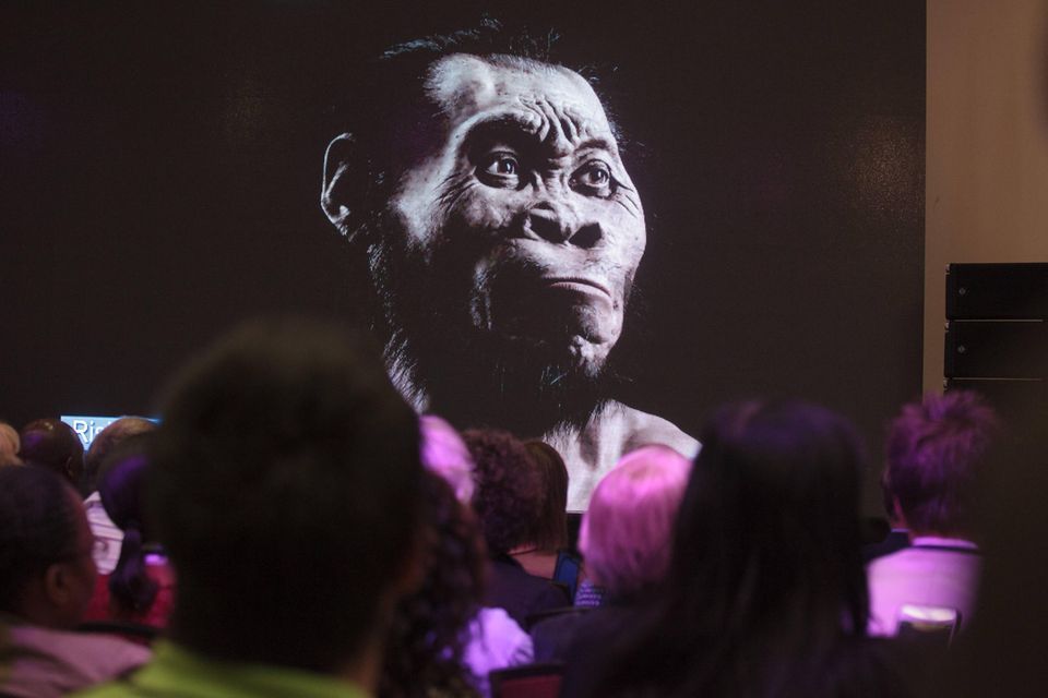 IMAGO / Greatstock  HOMO NALEDI; MAROPENG; SOUTH AFRICA MAROPENG; SOUTH AFRICA - 11 SEPTEMBER 2015: at Maropeng, near Johannesburg, South Africa. Homo naledi is arguably the most important fossil discovery on the continent as it appears that the human ancestor disposed of it™s dead, something thought to only be capable of modern day humans. PHOTOGRAPH BY DANIEL BORN/ GREATSTOCK GSE-DAN-01905102-002 PUBLICATIONxINxGERxSUIxAUTxONLY