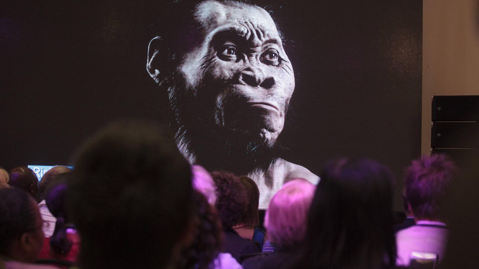 IMAGO / Greatstock  HOMO NALEDI; MAROPENG; SOUTH AFRICA MAROPENG; SOUTH AFRICA - 11 SEPTEMBER 2015: at Maropeng, near Johannesburg, South Africa. Homo naledi is arguably the most important fossil discovery on the continent as it appears that the human ancestor disposed of it™s dead, something thought to only be capable of modern day humans. PHOTOGRAPH BY DANIEL BORN/ GREATSTOCK GSE-DAN-01905102-002 PUBLICATIONxINxGERxSUIxAUTxONLY