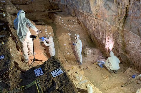 In der Chiquihuite-Höhle in Mexiko nahm das Team um Paläogenetiker Pedersen Proben. Darin fand sich DNA des ausgestorbenen Riesenkurzschnauzenbären