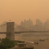 Gelber Rauch in New York