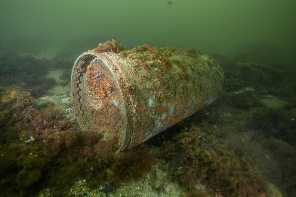 In der Kolberger Heide in der Kieler Bucht rostet dieser Torpedokopf – nur eine von vielen gefährlichen Altlasten aus zwei Weltkriegen