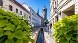 Wittenberg