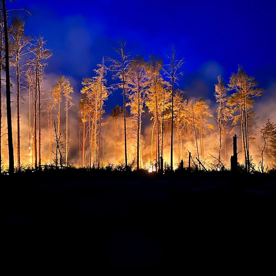 Im brandenburgischen Jüterbog steht der Wald schon seit Ende Mai in Flammen. Da im Mai kaum Regen fiel, ist der Boden vielerorts staubtrocken