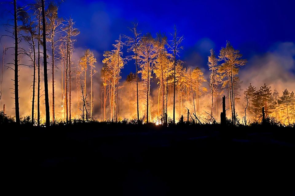 Im brandenburgischen Jüterbog steht der Wald schon seit Ende Mai in Flammen. Da im Mai kaum Regen fiel, ist der Boden vielerorts staubtrocken