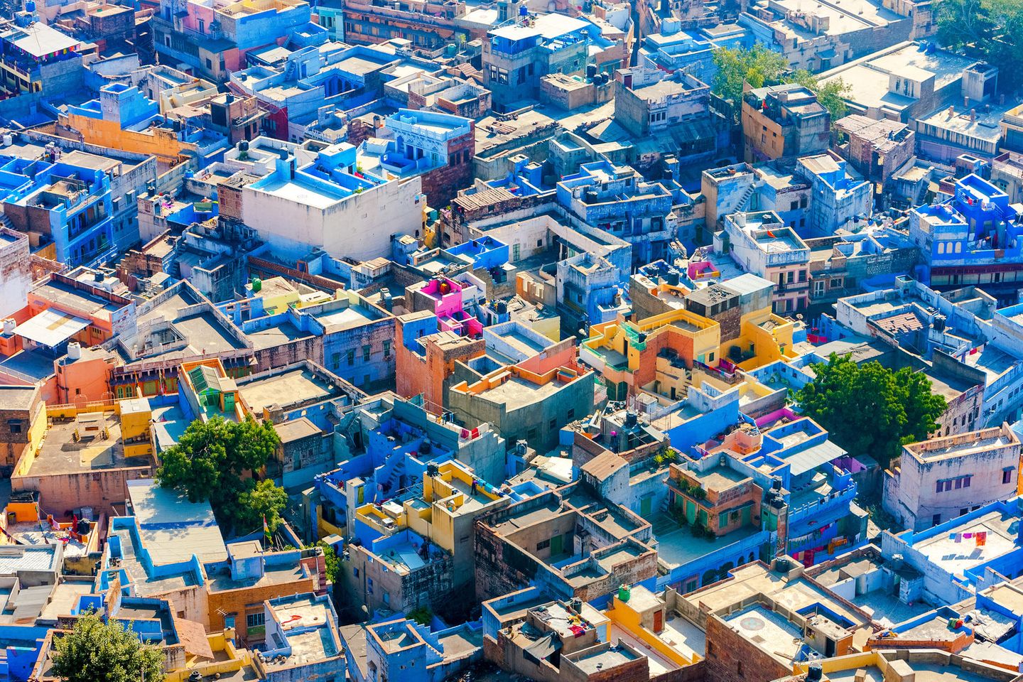 Bunte Häuser in Jodhpur, Indien