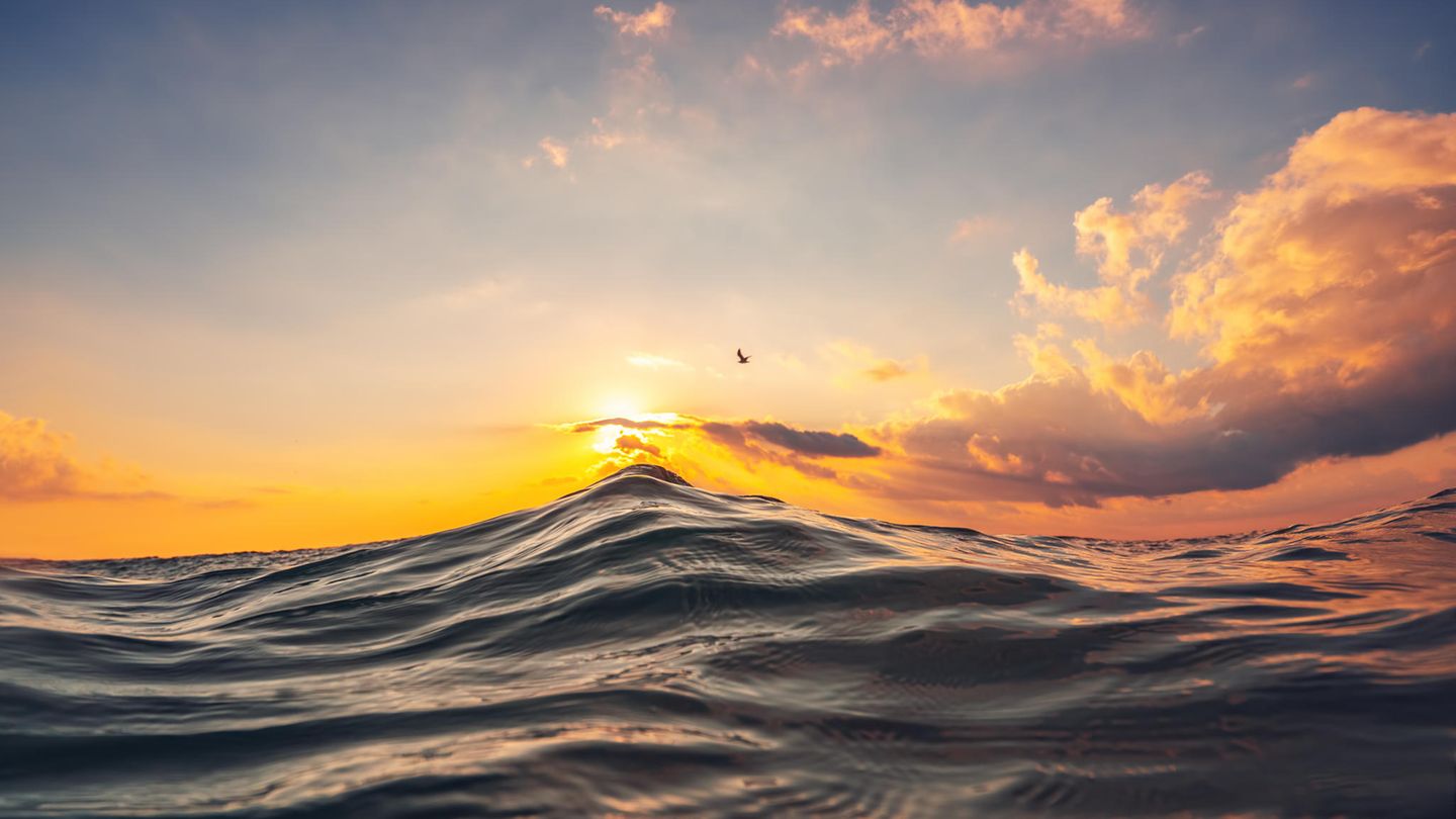 Meereswellen bei niedrig stehender Sonne
