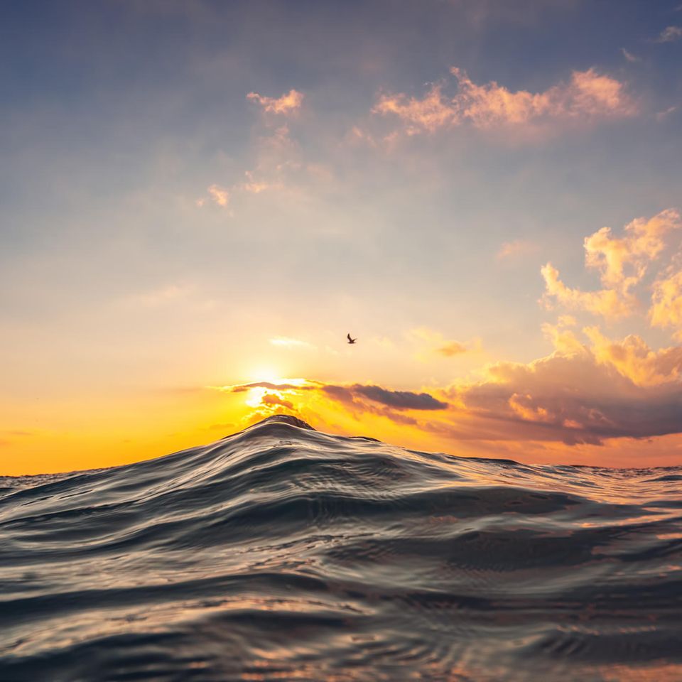 Meereswellen bei niedrig stehender Sonne