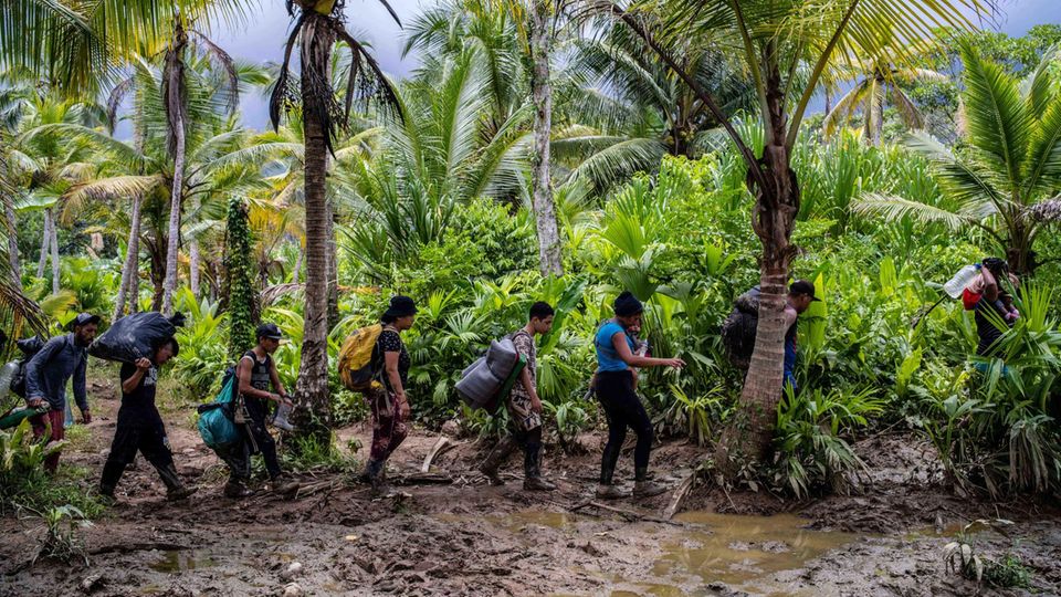 Fluchtroute von Südamerika in die USA: Der Darien Gap - [GEO]