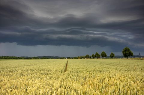 Ein Gewitter zieht auf: Der Deutsche Wetterdienst warnte am Mittwoch in Teilen Bayerns vor starkem Gewitter mit schweren Sturmböen, Starkregen und Hagel