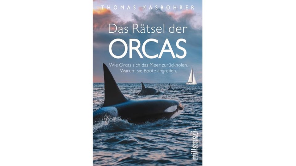 Warum bedrängen Orcas Jachten?: Thomas Käsbohrer: "Das Rätsel der Orcas. Wie Orcas sich das Meer zurückholen. Warum sie Boote angreifen", millemari Verlag 2023 Thomas Käsbohrer: "Das Rätsel der Orcas. Wie Orcas sich das Meer zurückholen. Warum sie Boote angreifen", millemari Verlag 2023